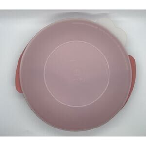 Tupperware Divided 3 Slot Dish Lided Salmon Reheatable Serving Storage